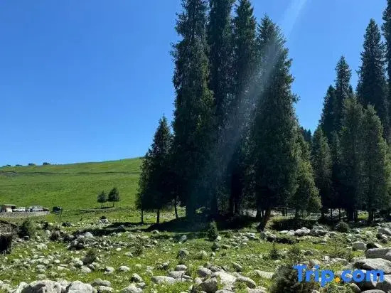 Nalati Shuimu Shangshan Jingyue Yuntang Meisu.