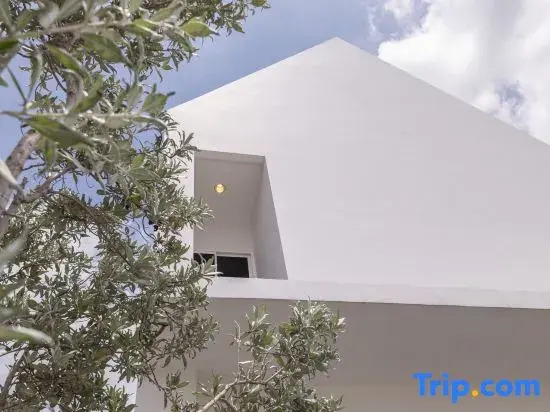 Private Courtyard Villa