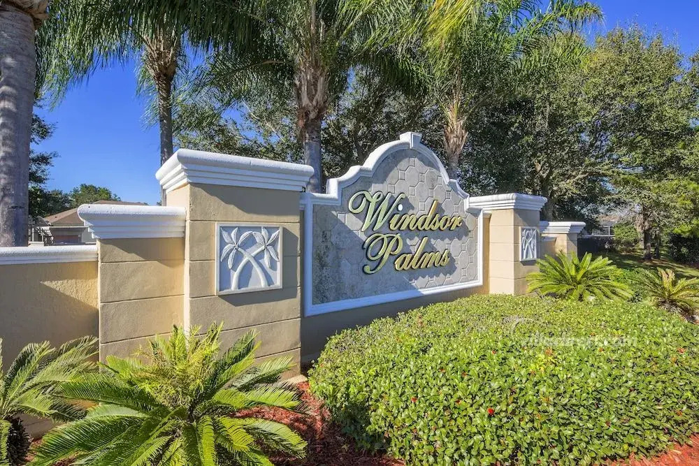 Wired Palms