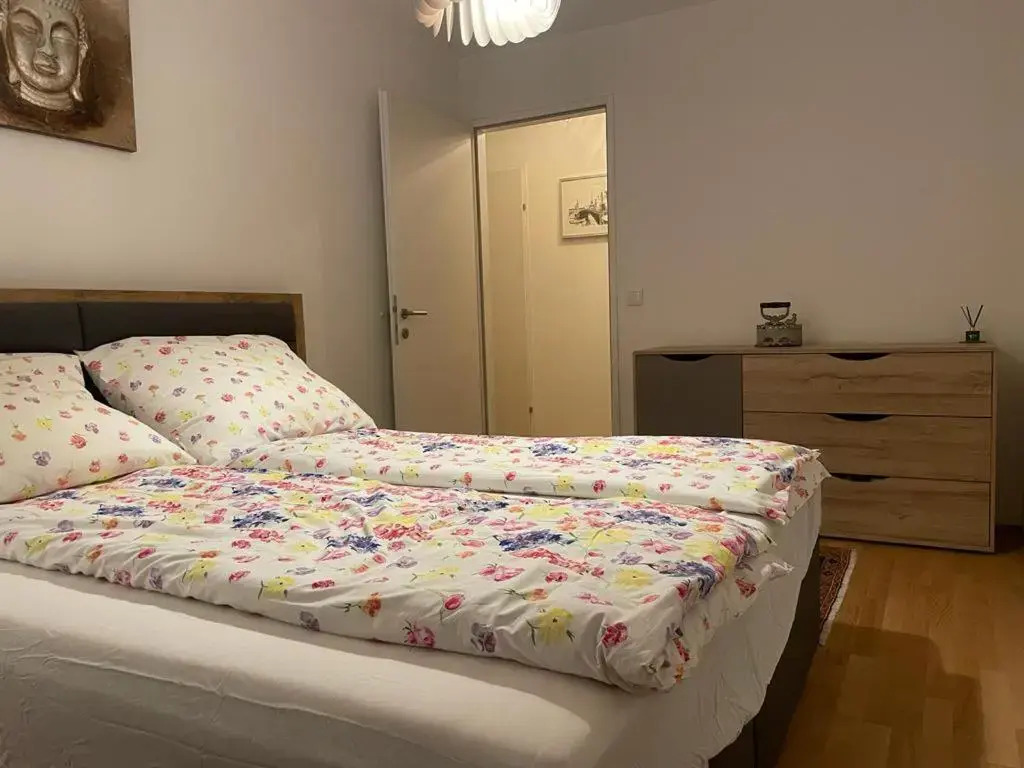 Lovely 3 rooms apartment viena
