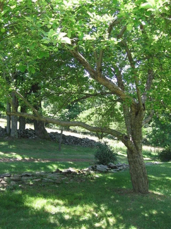 Retreat at TreeGap