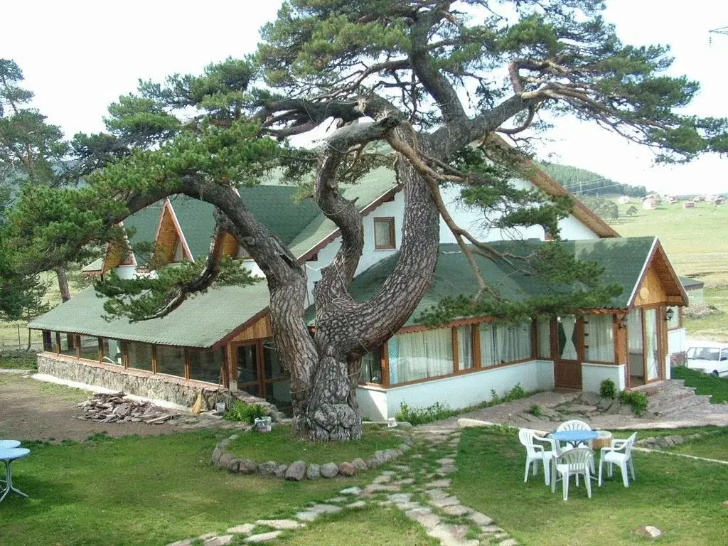 Koroglu Konagi