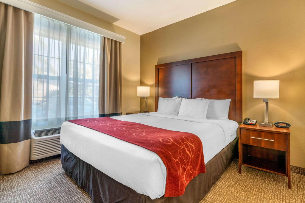 Comfort Suites Downtown Sacramento