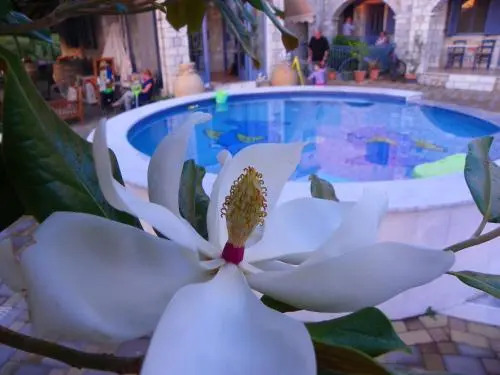 Aparthotel 4 Stars Stoupa