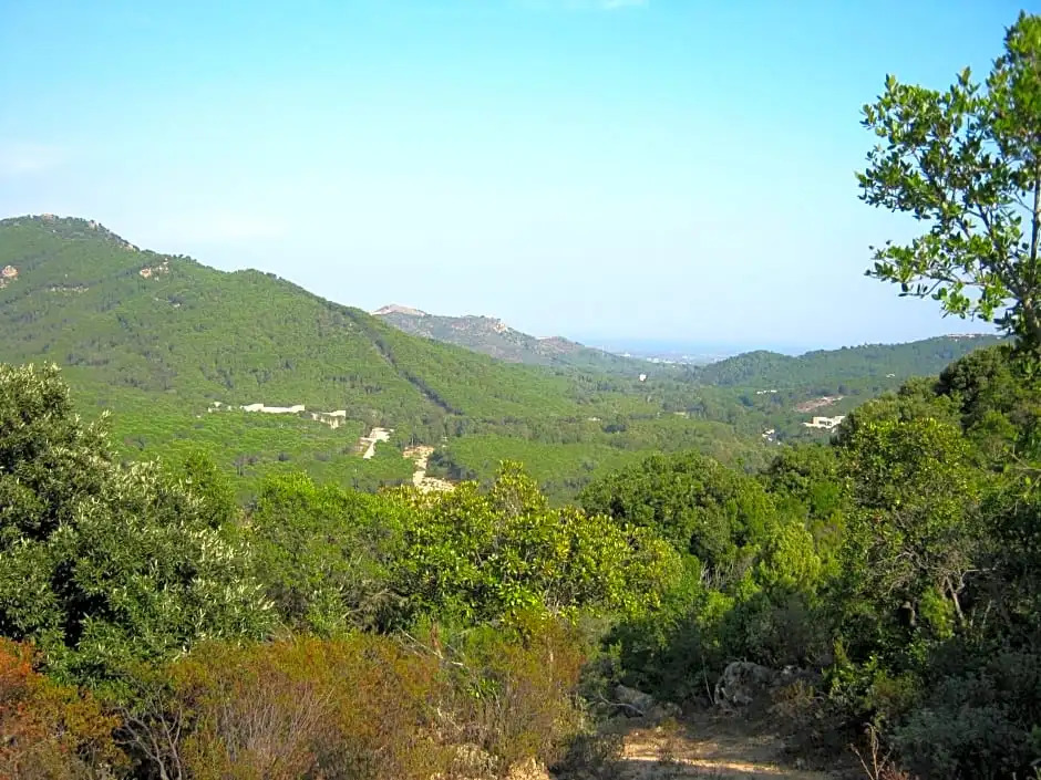 B&B Il melograno
