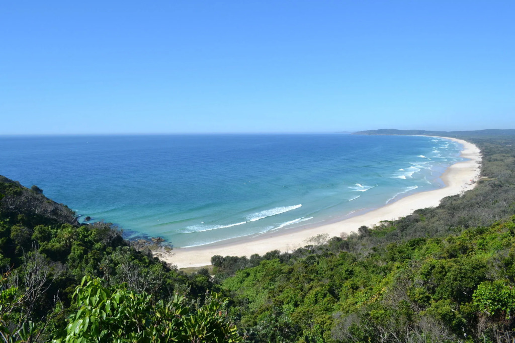 Lily Pad at Byron Bay