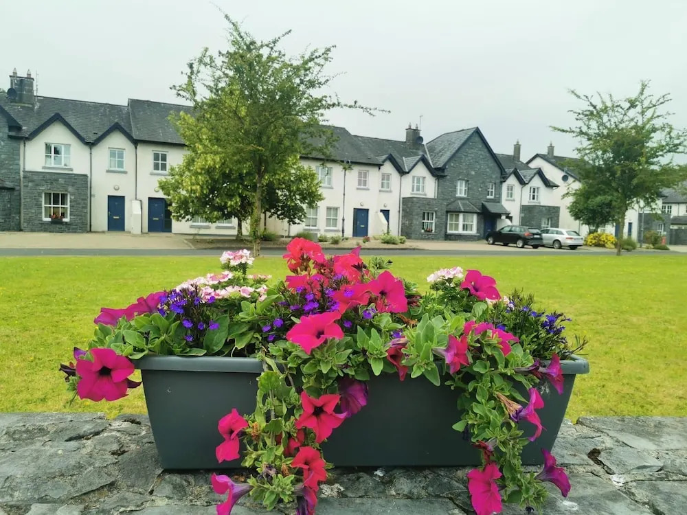 Bunratty West No 40019