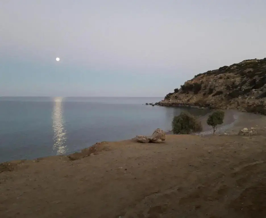 Akrogiali