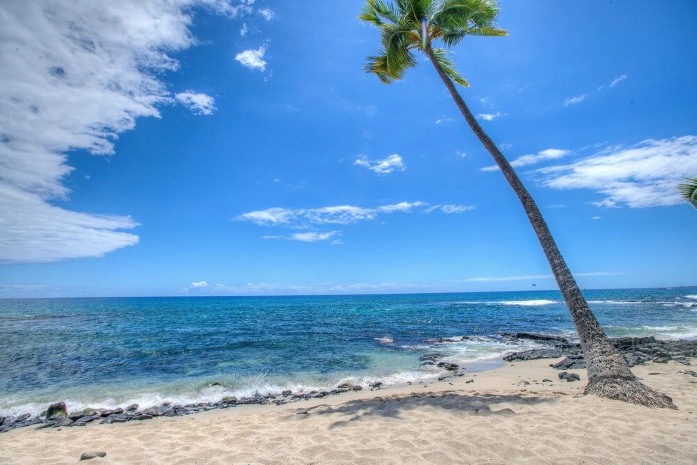 Kona Reef F11 - 1 Br Condo