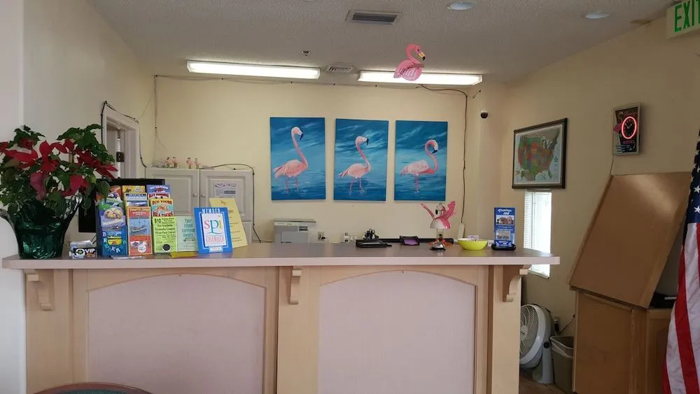 The Flamingo - South Padre Island