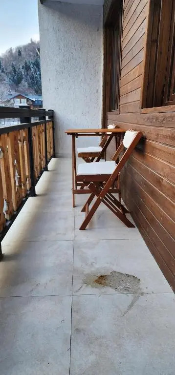 Eco-Friendly studio near Didveli