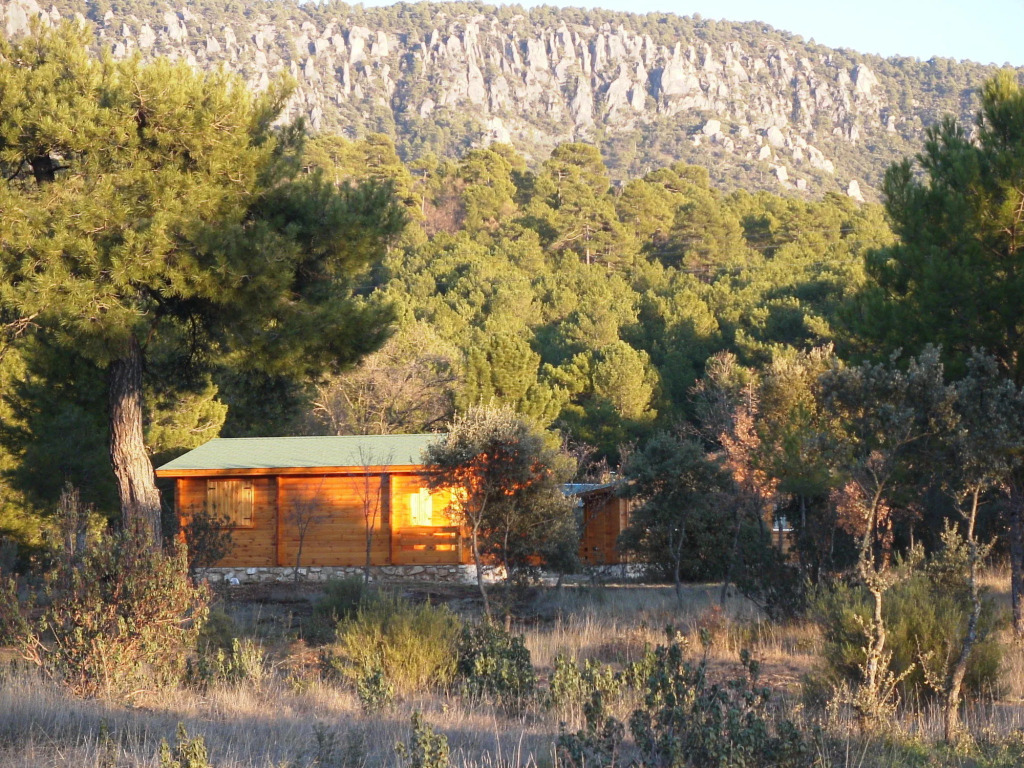 Cabañas Llano de los Conejos