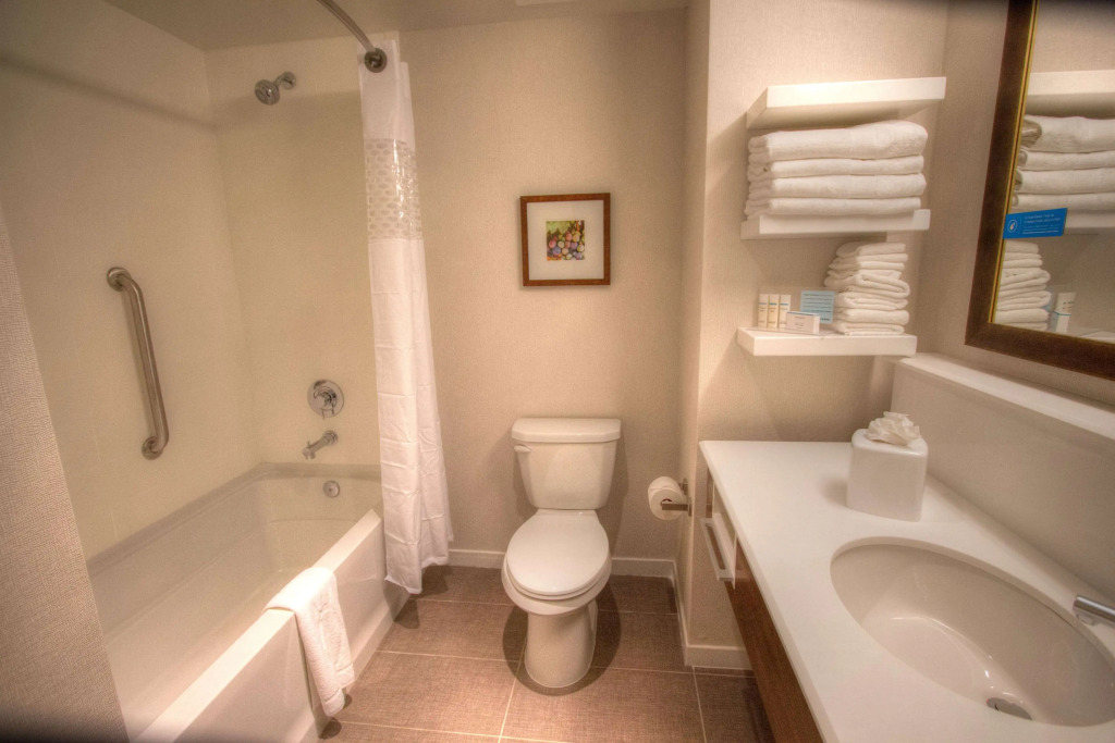 Hampton Inn & Suites Braselton