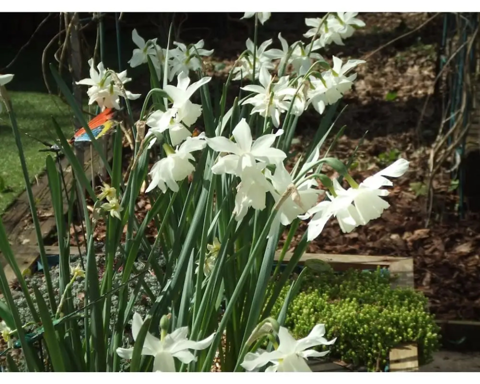 Queens Road Rental - Winchester Accommodation