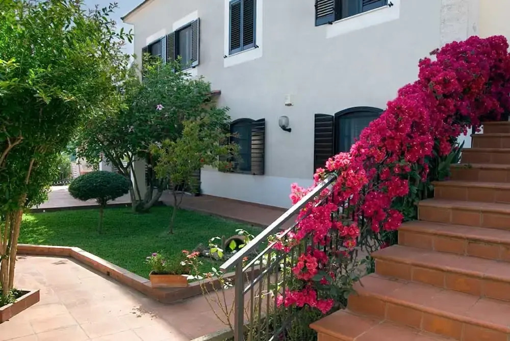 B&B Hibiscus