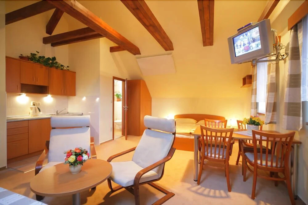 Hotel Stary Mlyn