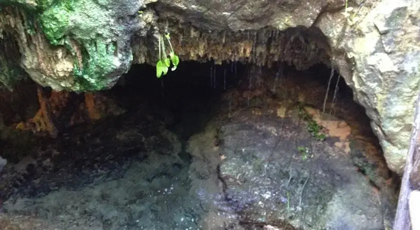 Rancho Exotico