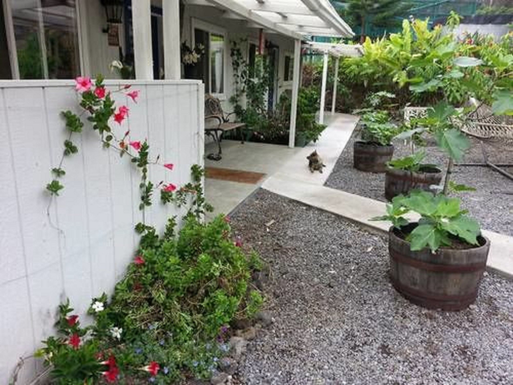 Mango Sunset Bed and Breakfast