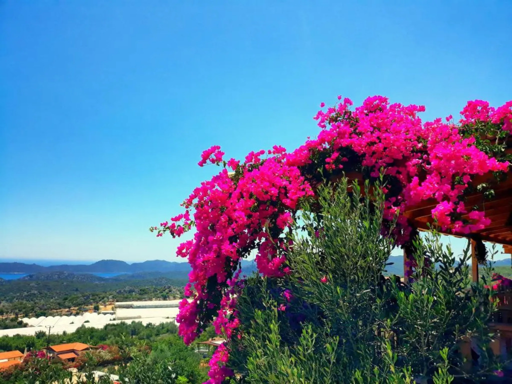 Istlada Taş Ev Apart - Kekova Island View