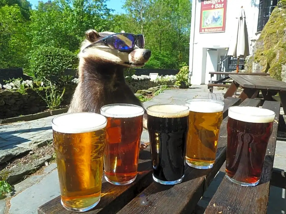 Badger Bar