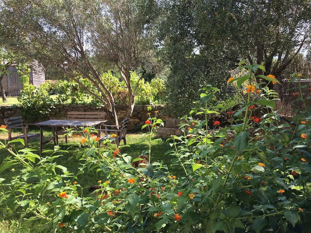Apartement 120m with garden in a villa