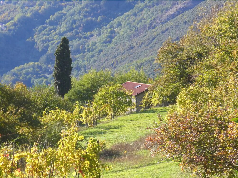 Agriturismo Fanny