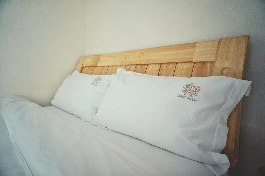 Lotus Bloom Youth Hostel