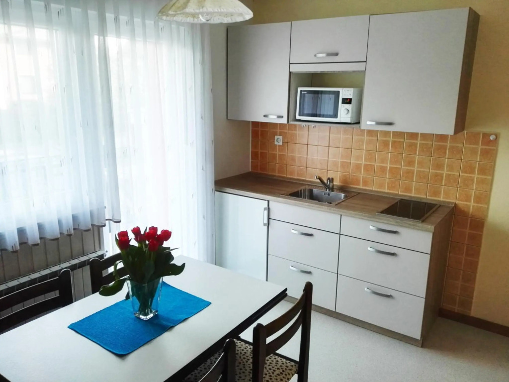 Apartments Silič