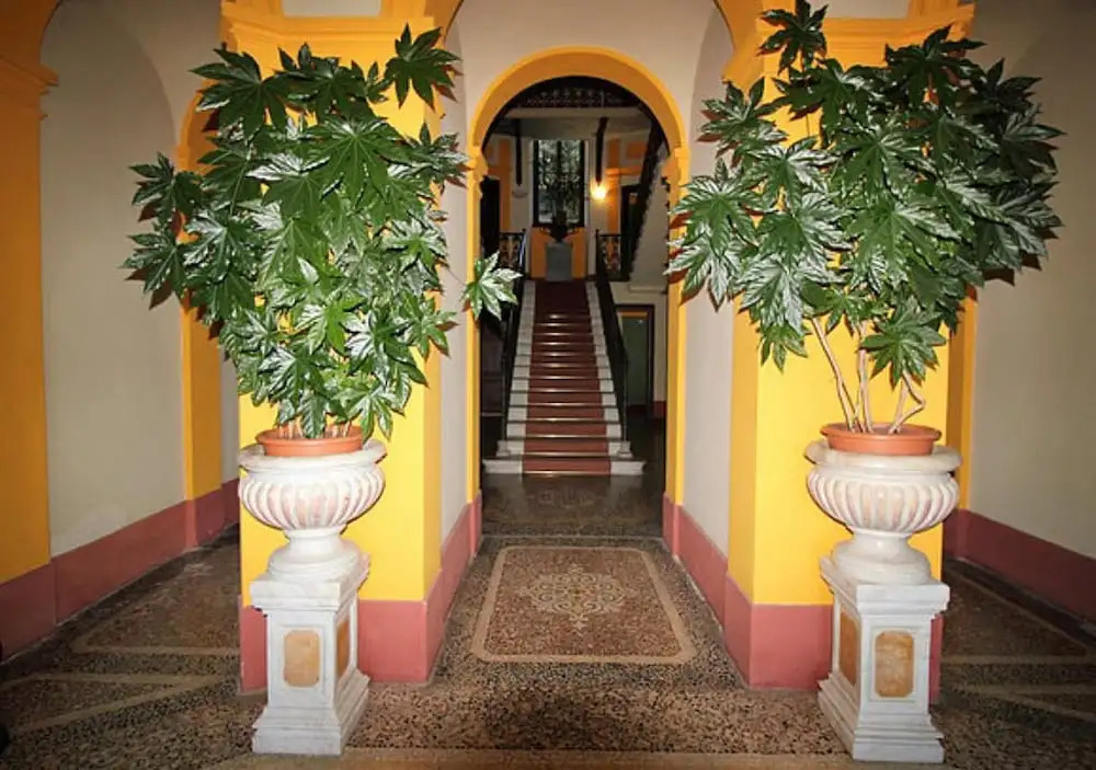Bellavista