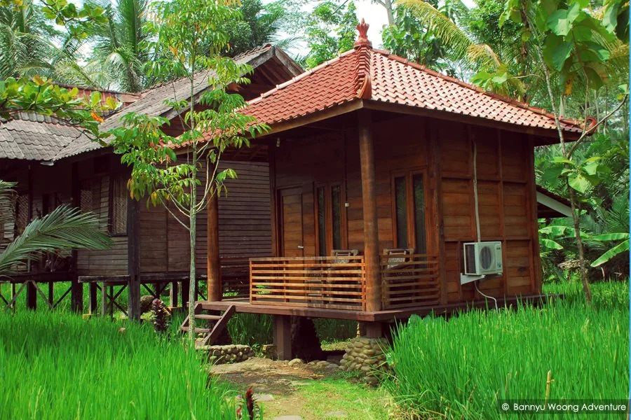 The Pikas Resort