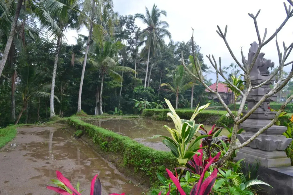 Srijaya Ubud