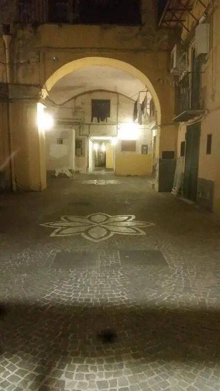 Il Volo del Gabbiano