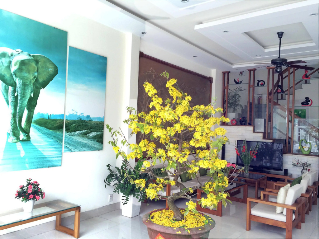 Hoi An VIVA Homestay