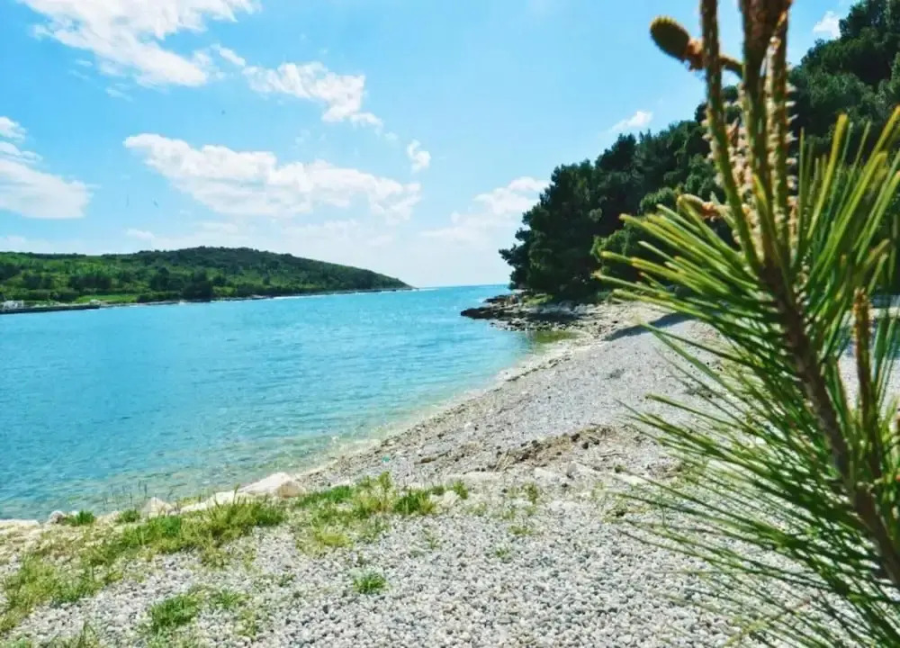 Apartment in Banjole, 200m From the Beach