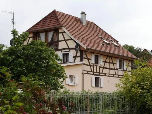 Chat au Grumbach