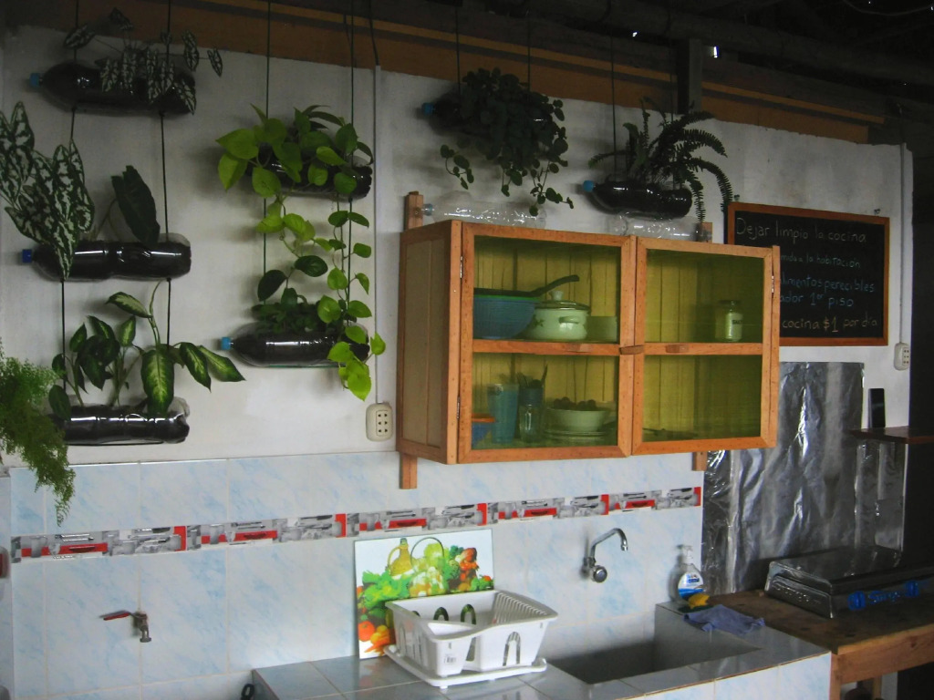 Amazon House Hostel