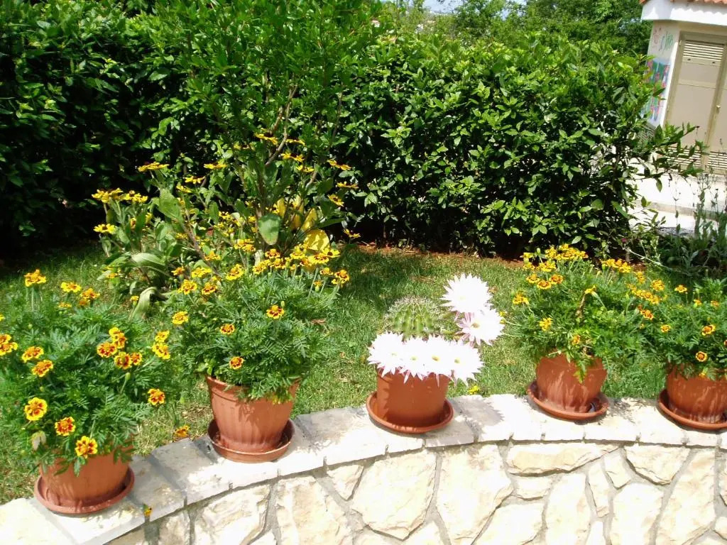 Apartments Villa Elizabet