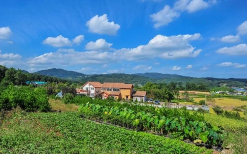 Yongin Pine House Pension