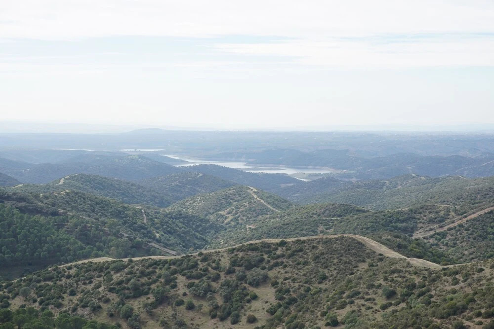 San José