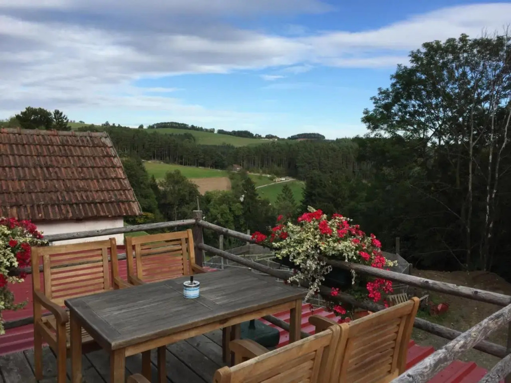 Haflingerhof Luef