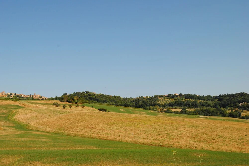 Lina - Podere Ribatti Casole D'elsa