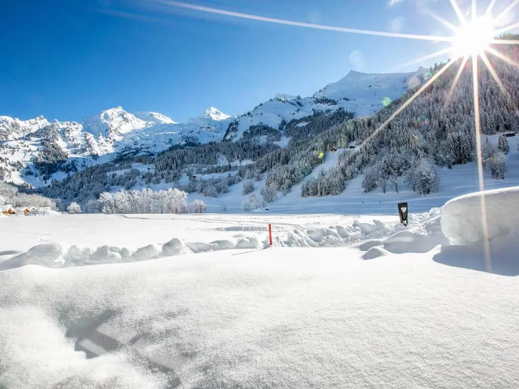 Appartement La Clusaz, 2 pièces, 4 personnes - FR-1-437-83