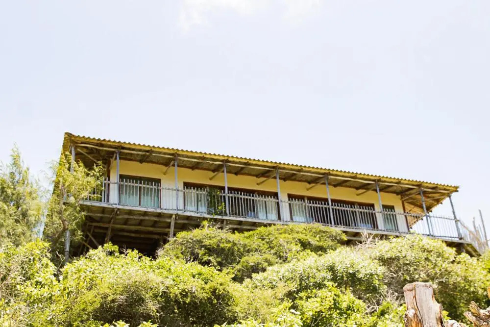 Tree House Lodge