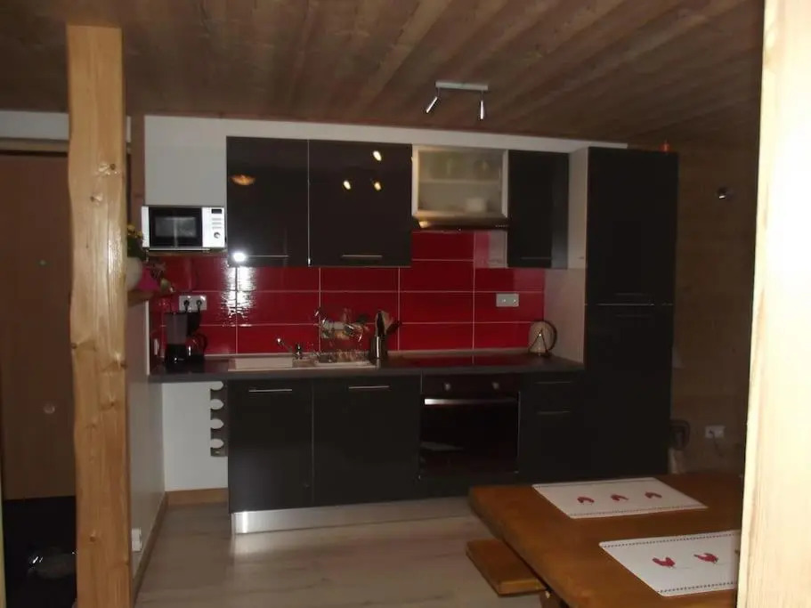 location appartement pied des pistes