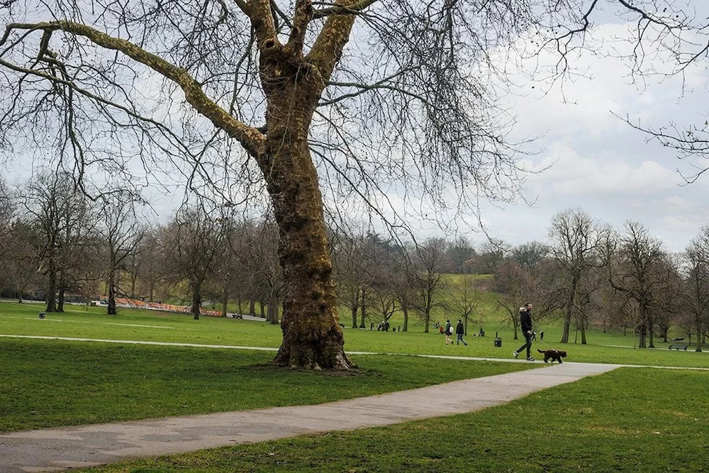 New Super 1 Bedroom Flat in the Heart of Greenwich