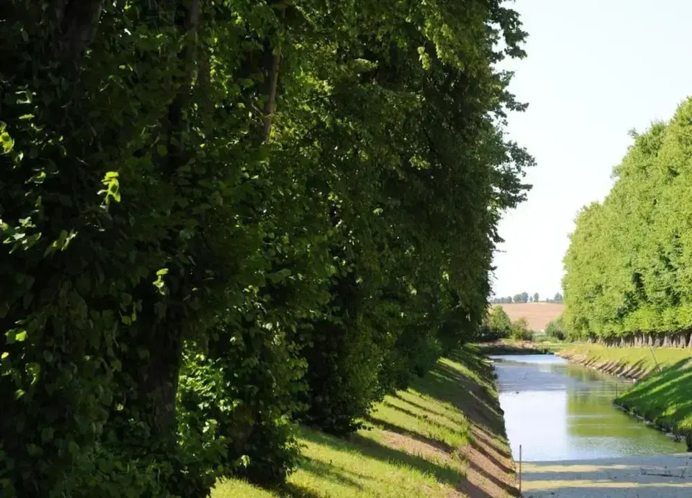 Idyllische Wohnung an der Ostseekueste