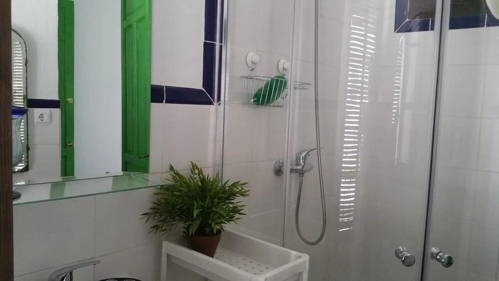 Deluxe Apartment Doña Elvira