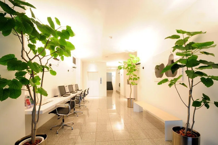 Agnes Hotel Plus