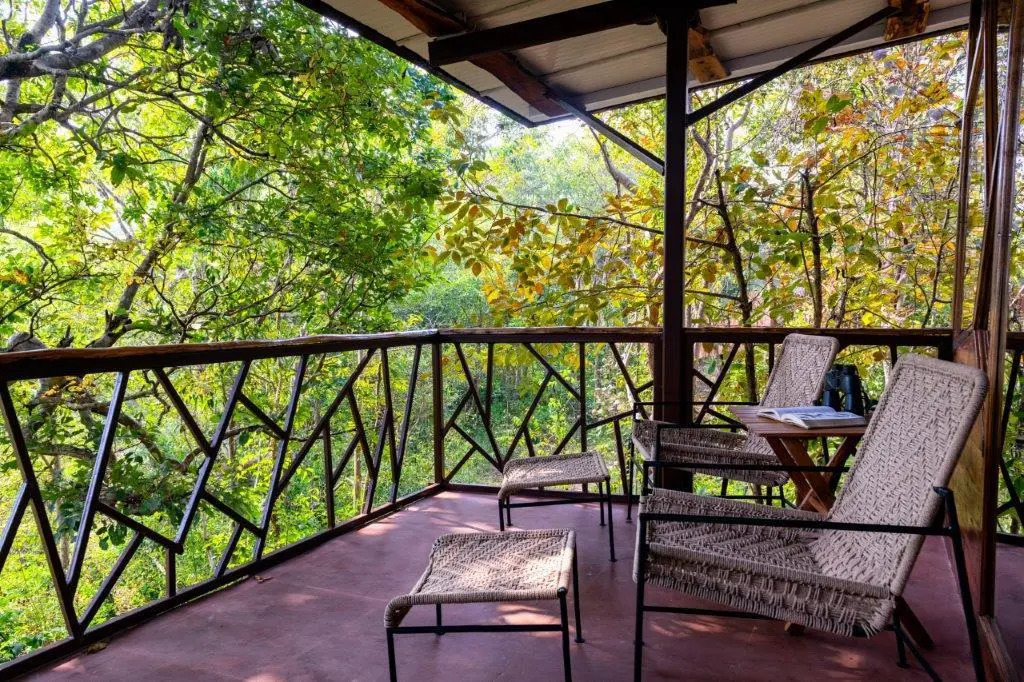 Kanha Jungle Camp