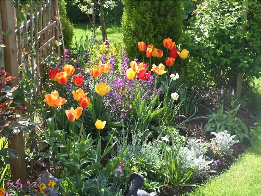Rose Briar B&B